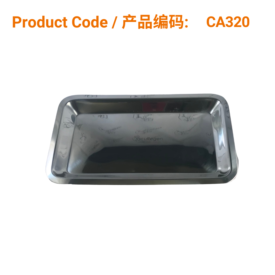 Large Stainless Steel Tray 20 x 26 cm